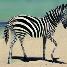 zebra + beach