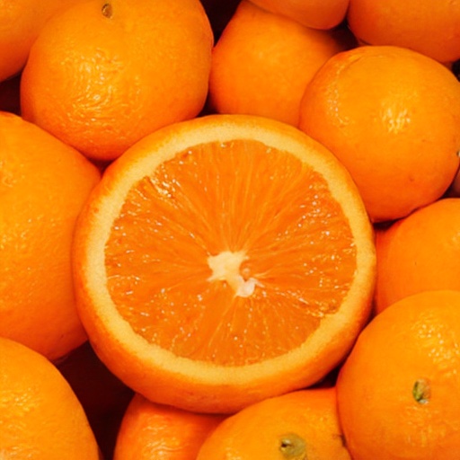 TEM sample, ImageNet 512&times;512: orange